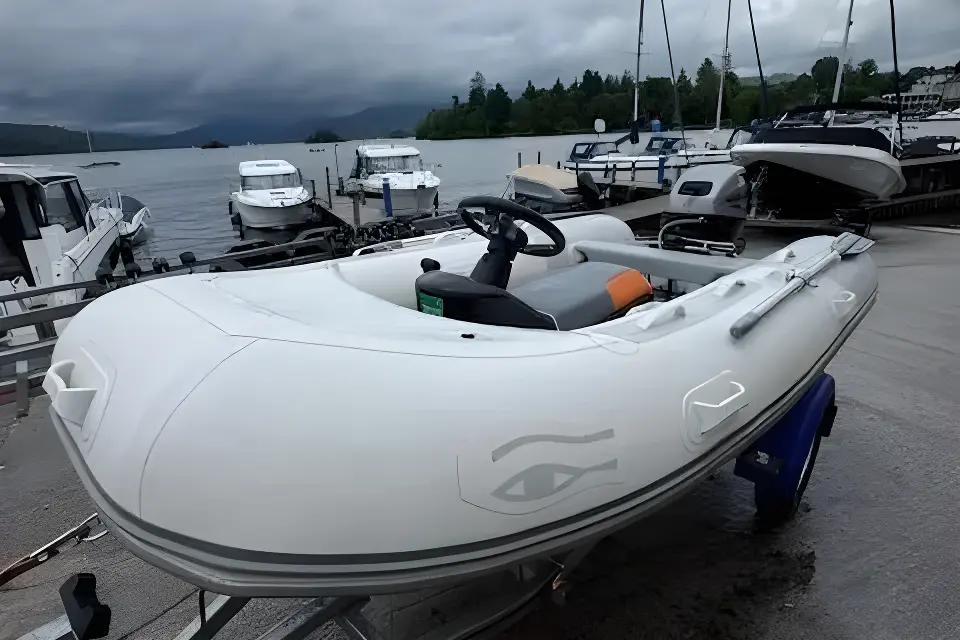 Ribeye TS 310 - Image 11