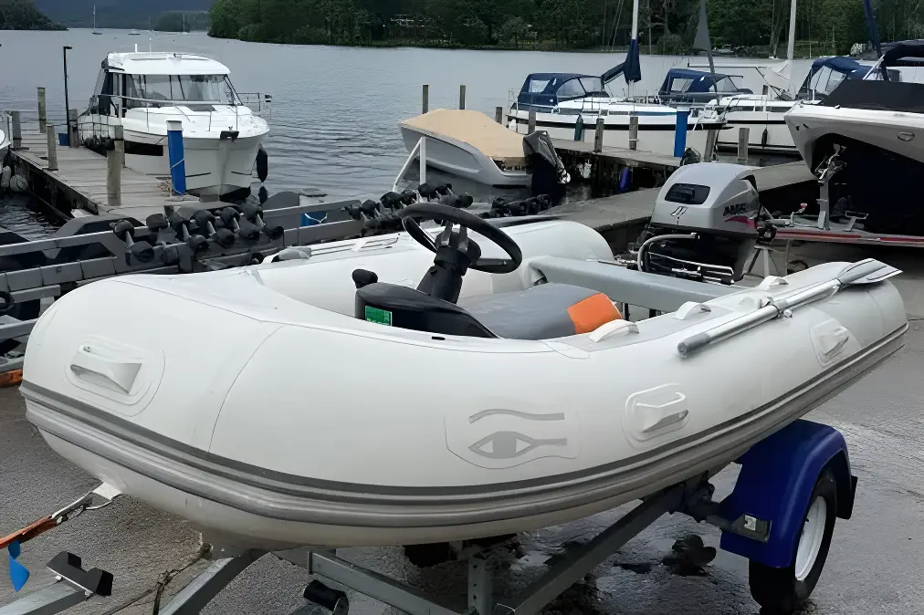 Ribeye TS 310 - Image 20