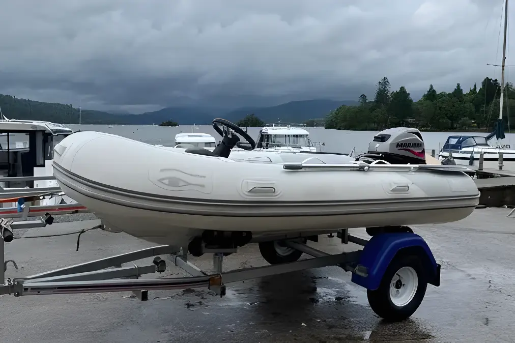 Ribeye TS 310 - Image 17