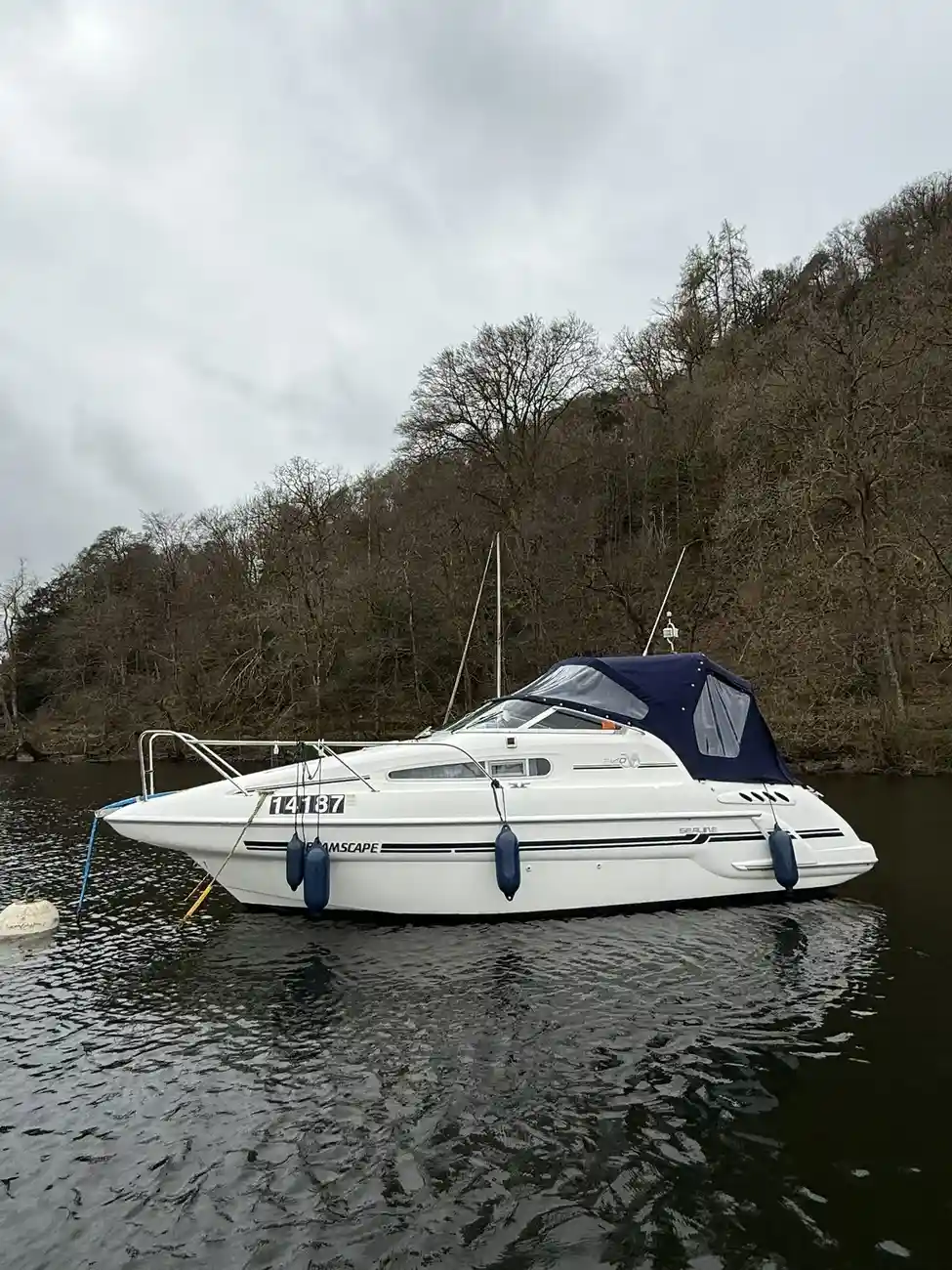 Sealine S240 - Image 38