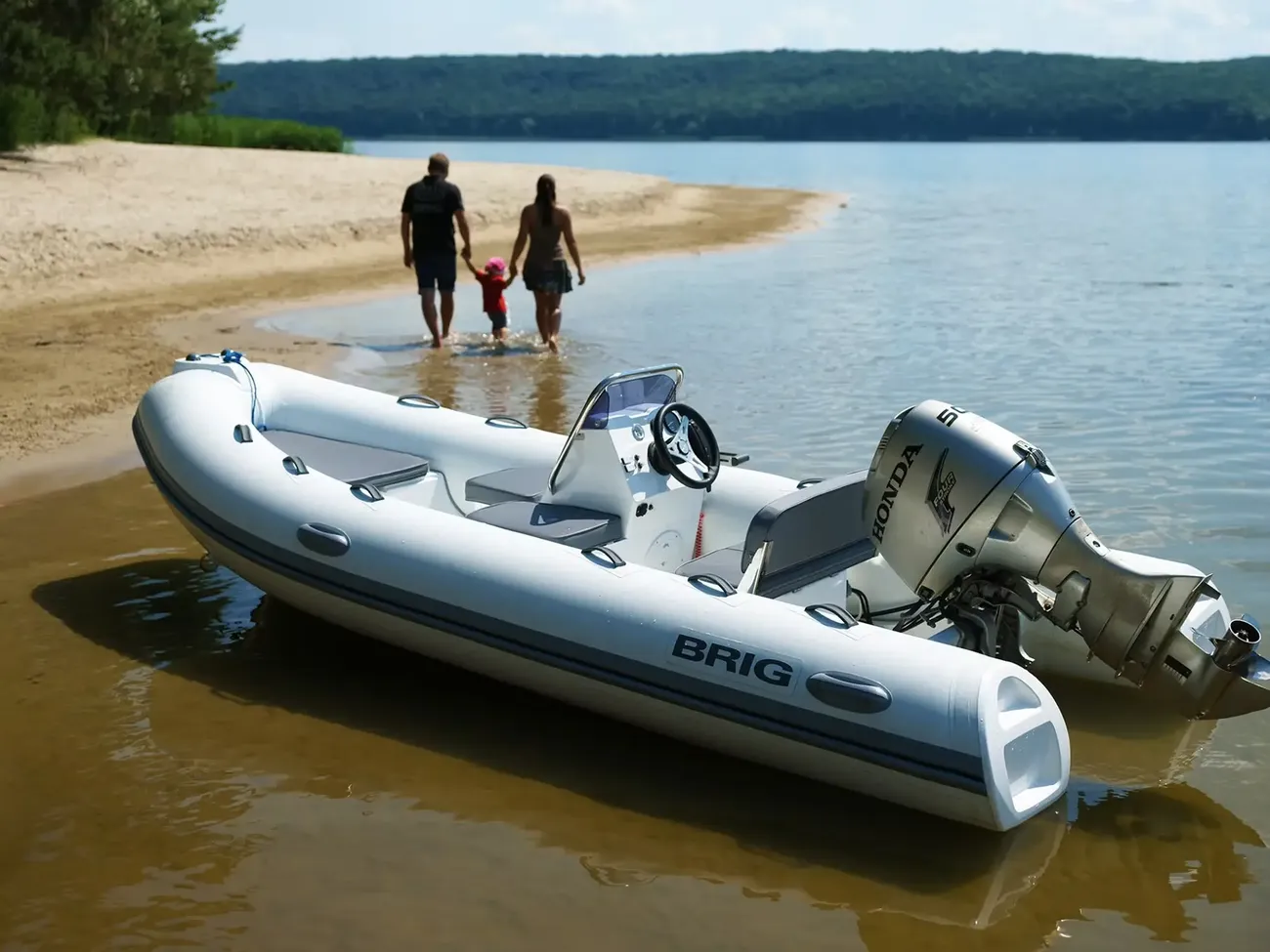 Brig Falcon 420 - Image 6